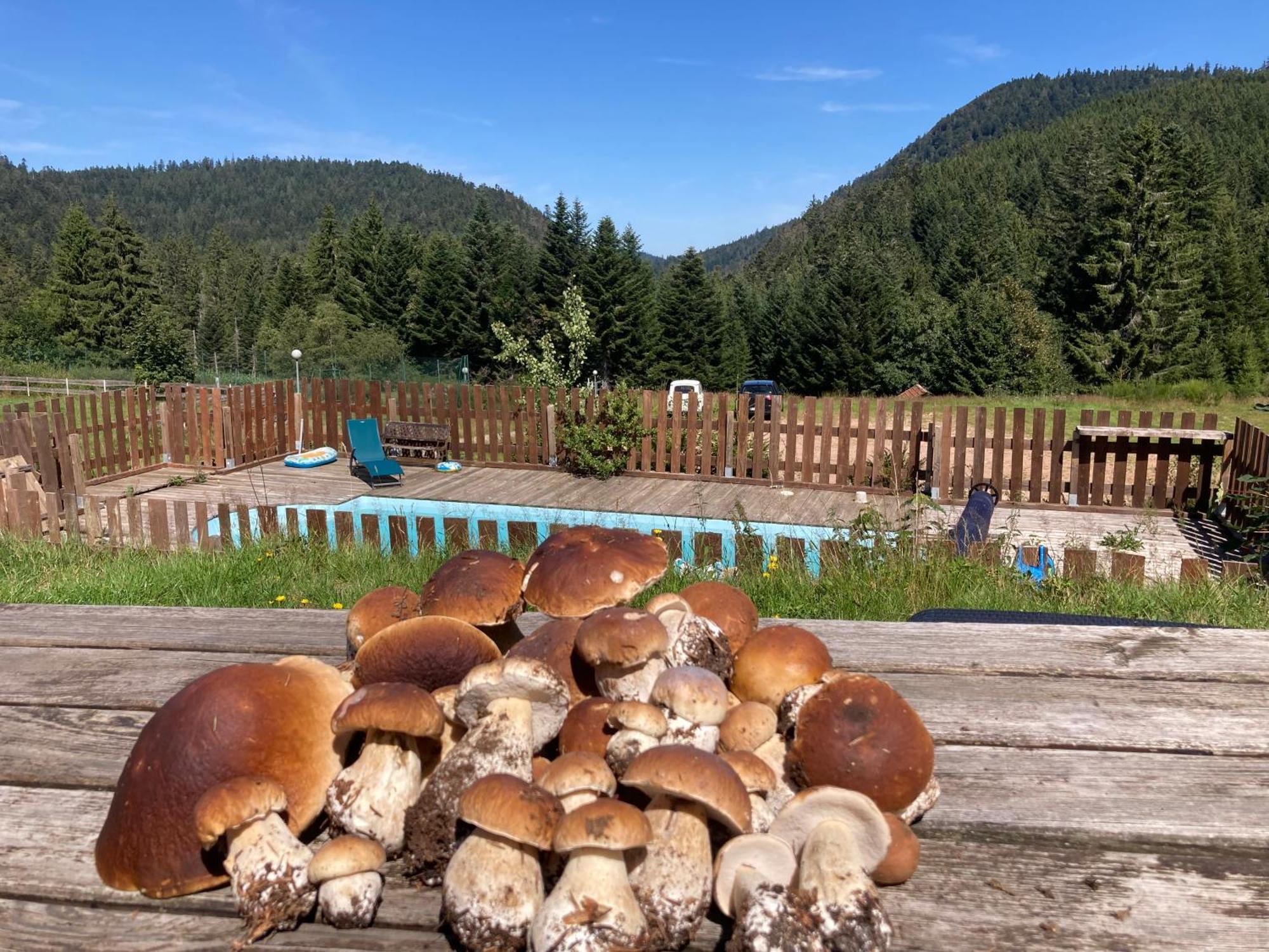 Le Perchoir, Gite 7 Personnes, Le Grand Valtin Ban-sur-Meurthe-Clefcy Exteriér fotografie