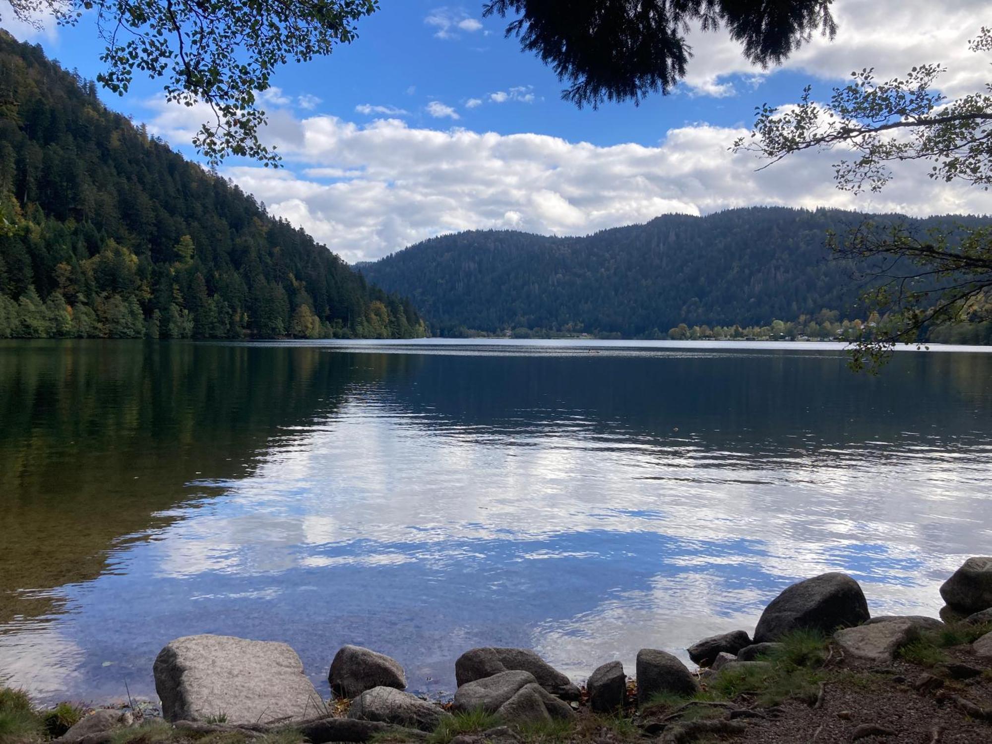 Le Perchoir, Gite 7 Personnes, Le Grand Valtin Ban-sur-Meurthe-Clefcy Exteriér fotografie
