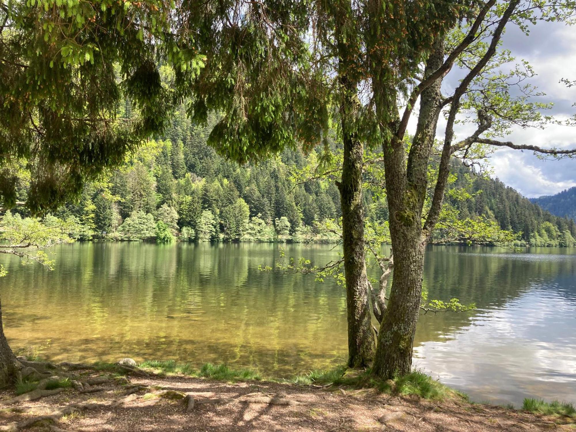 Le Perchoir, Gite 7 Personnes, Le Grand Valtin Ban-sur-Meurthe-Clefcy Exteriér fotografie