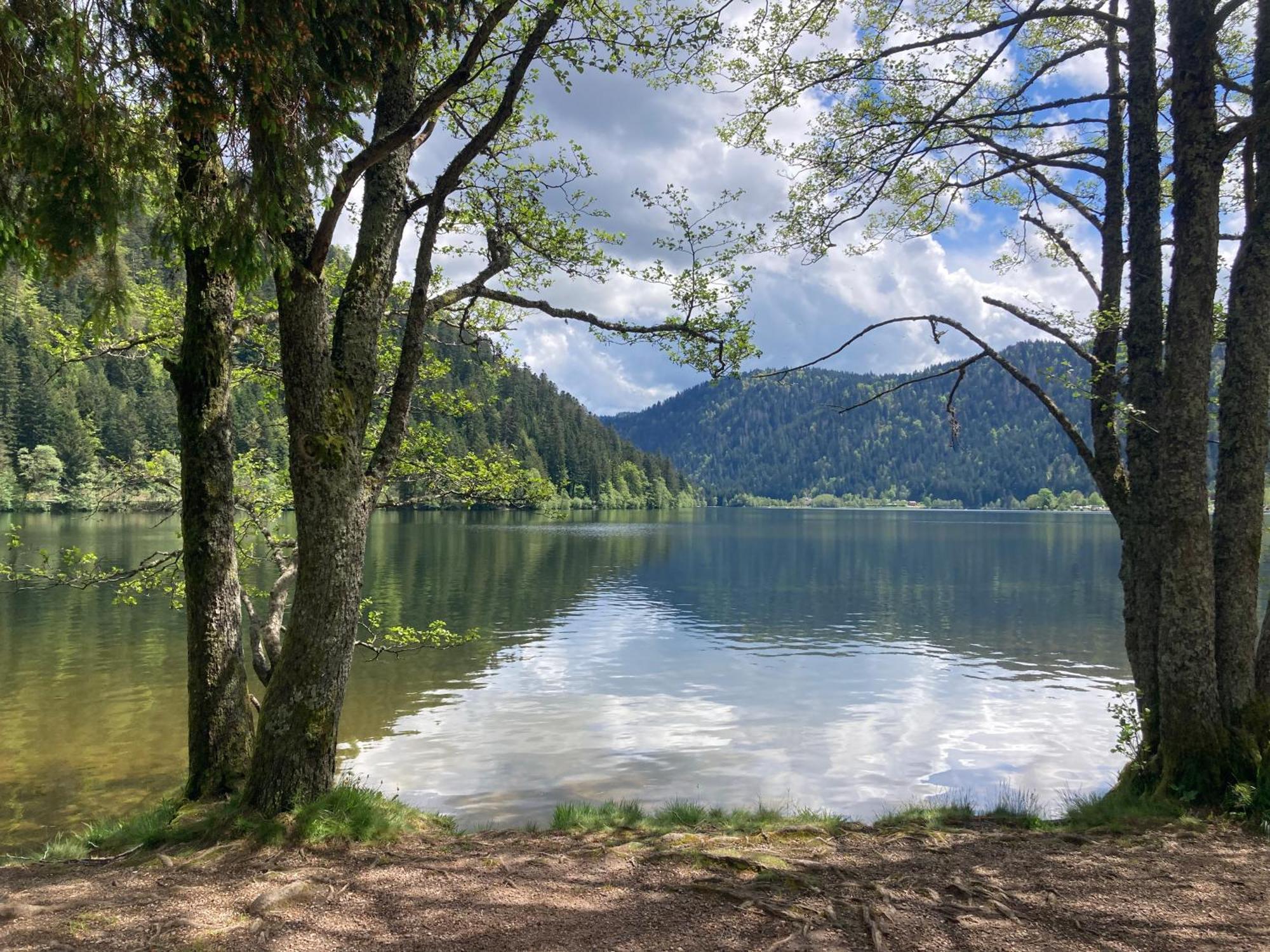 Le Perchoir, Gite 7 Personnes, Le Grand Valtin Ban-sur-Meurthe-Clefcy Exteriér fotografie