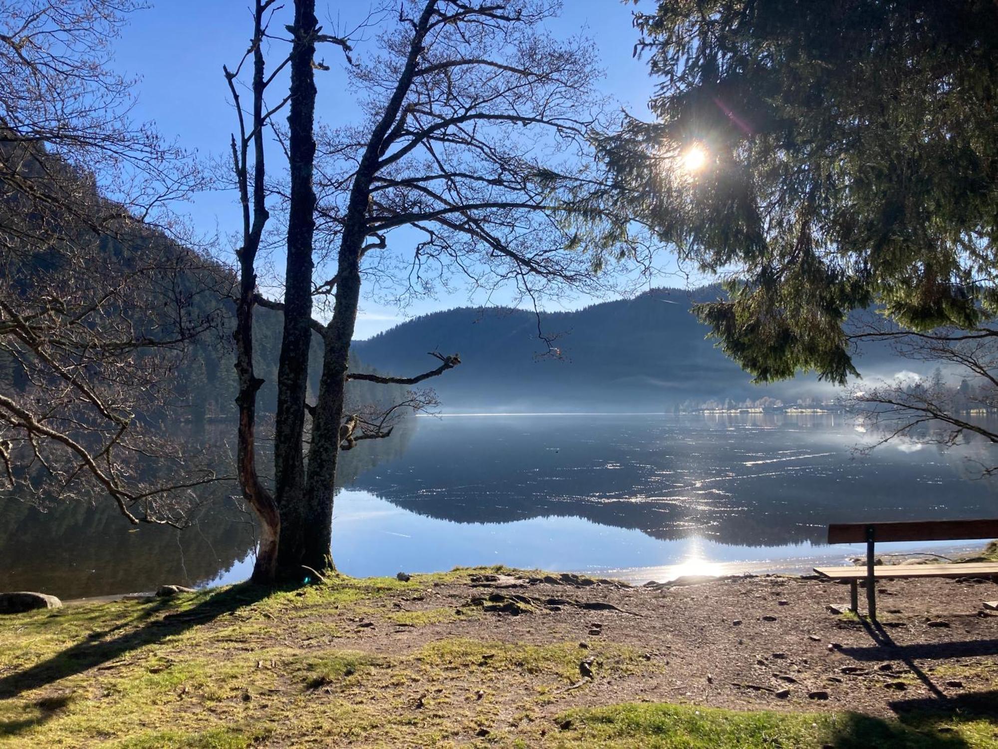 Le Perchoir, Gite 7 Personnes, Le Grand Valtin Ban-sur-Meurthe-Clefcy Exteriér fotografie