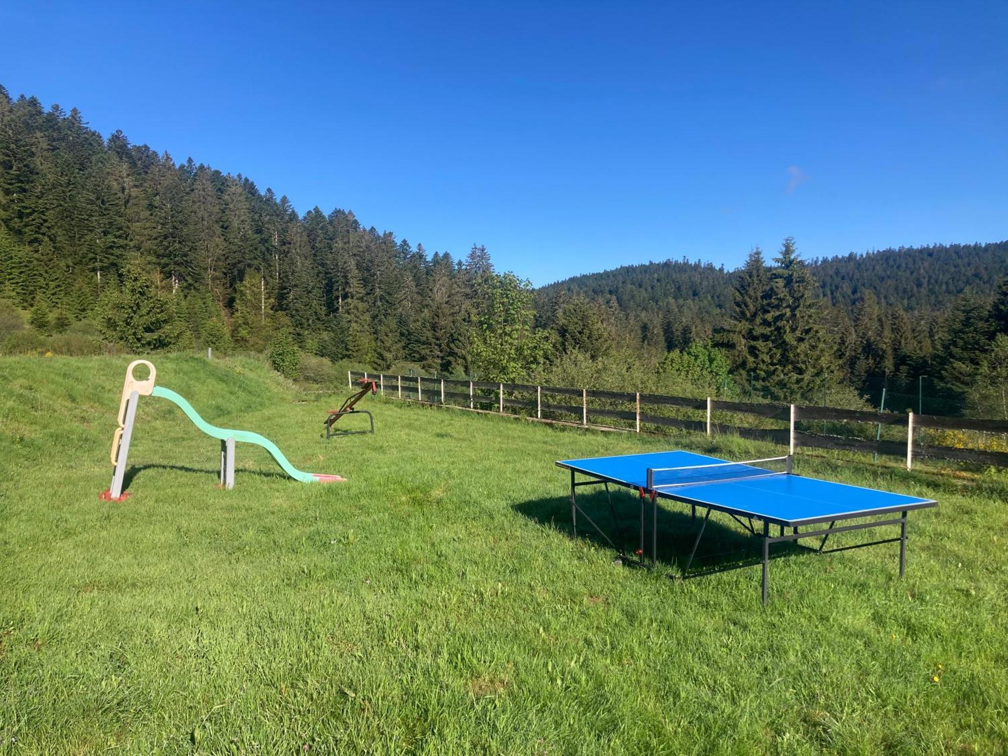 Le Perchoir, Gite 7 Personnes, Le Grand Valtin Ban-sur-Meurthe-Clefcy Exteriér fotografie