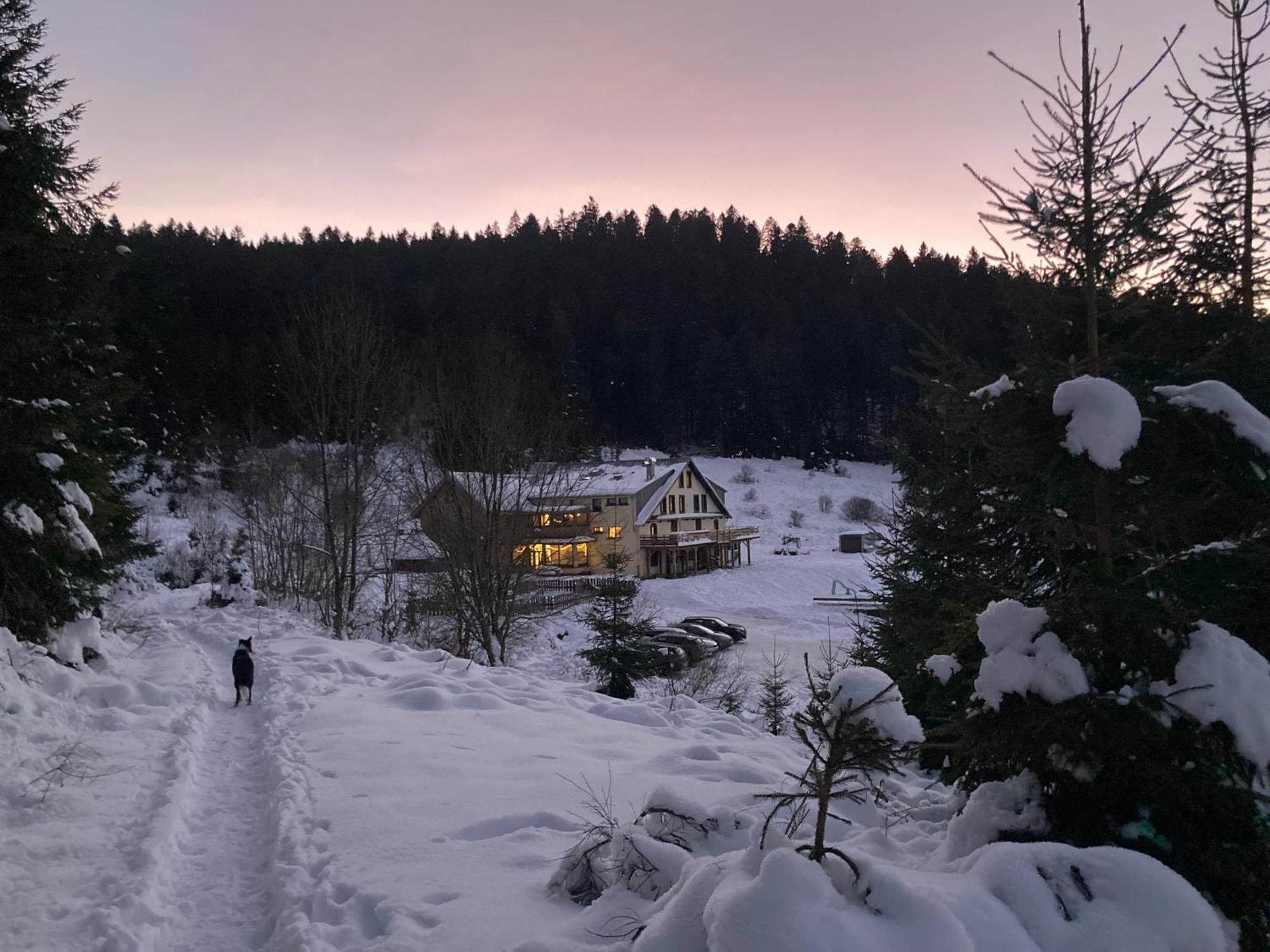 Le Perchoir, Gite 7 Personnes, Le Grand Valtin Ban-sur-Meurthe-Clefcy Exteriér fotografie